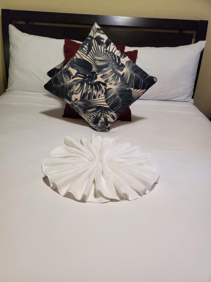 Maison Romantique 金斯敦 外观 照片