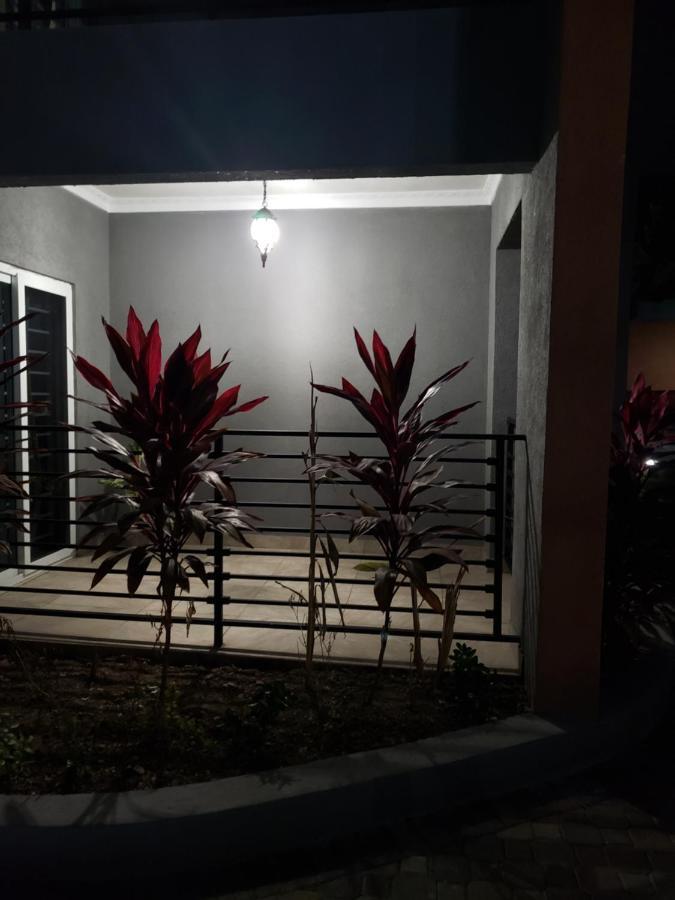 Maison Romantique 金斯敦 外观 照片